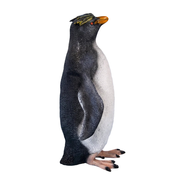 Rockhopper Penguin (not in AUS)