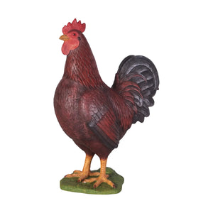 Rooster (not in AUS)