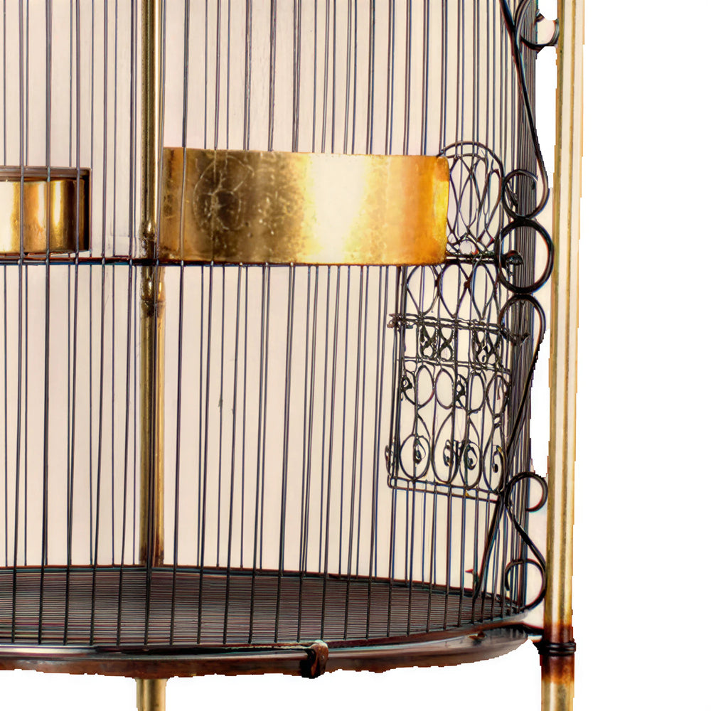 Royal Birdcage