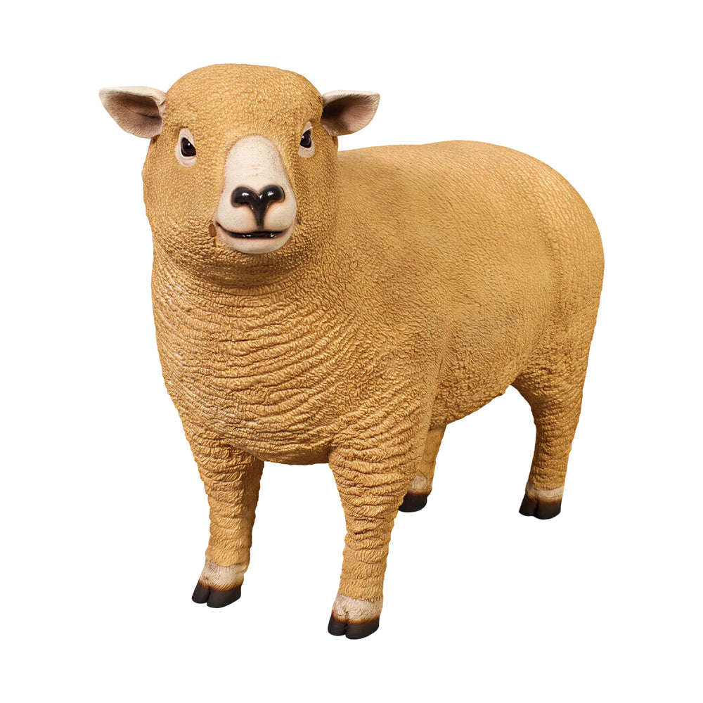 Ryeland Ewe (not in Aus / Benelux)