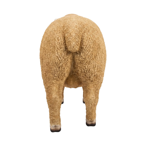Ryeland Ewe (not in Aus / Benelux)