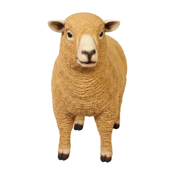 Ryeland Ewe (not in Aus / Benelux)
