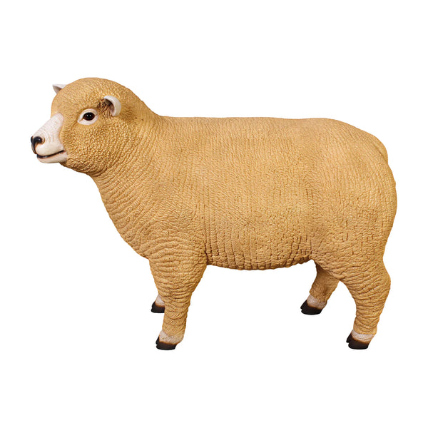 Ryeland Ewe (not in Aus / Benelux)