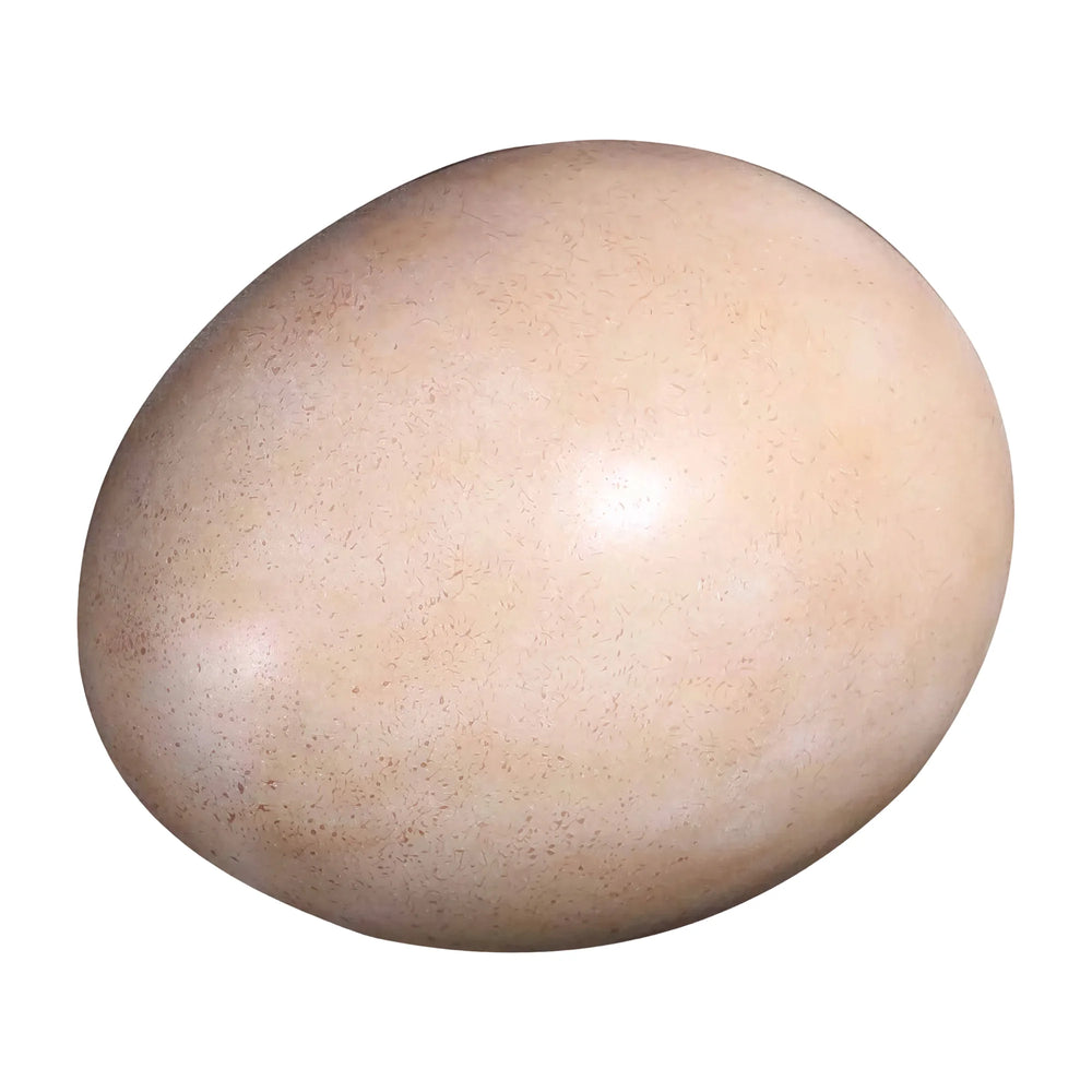 Sauropod Egg 12" (12Pcs/Box)
