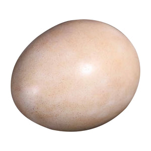 Sauropod Egg 12" (12Pcs/Box)