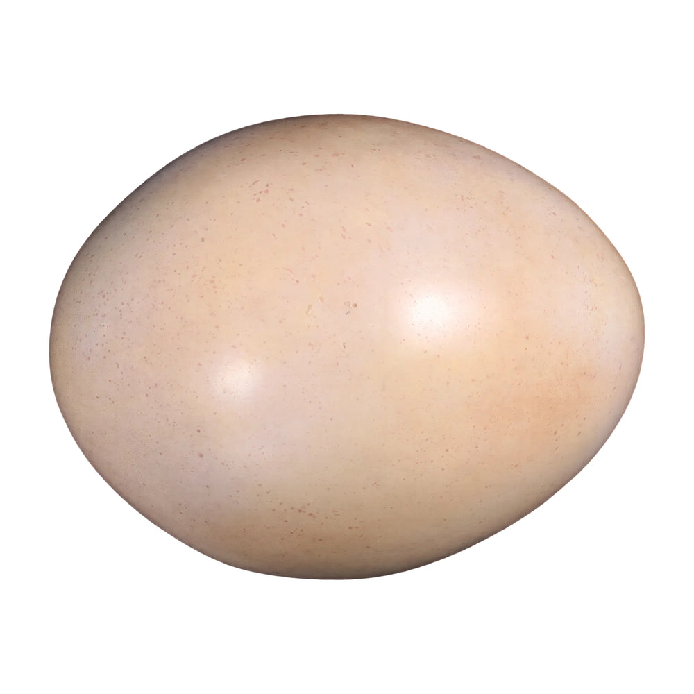 Sauropod Egg 9"