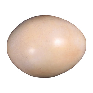 Sauropod Egg 9"
