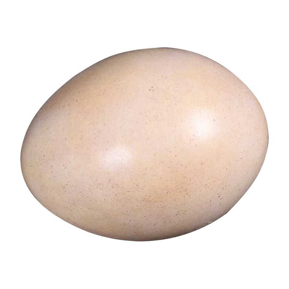 Sauropod Egg 9" (12Pcs/Box)