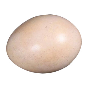 Sauropod Egg 9" (12Pcs/Box)