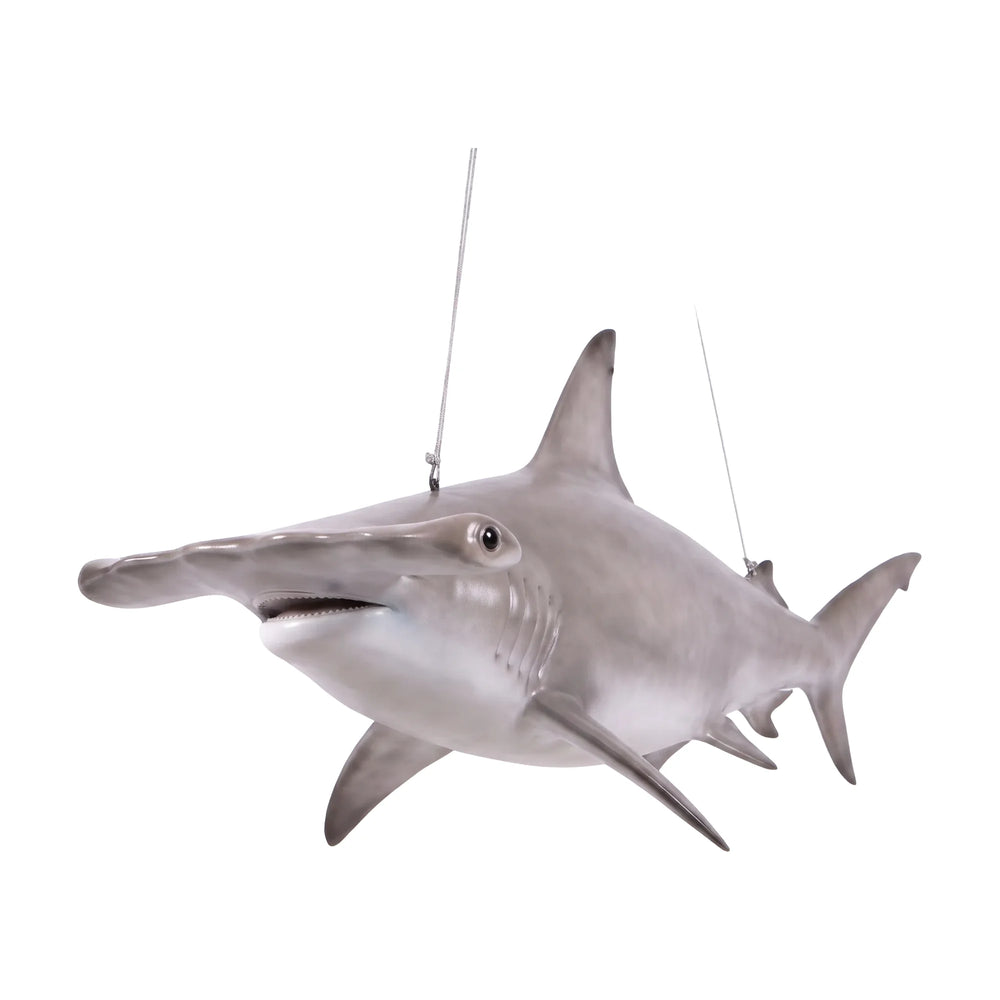 Scalloped Hammerhead Shark 6ft (Not in UK)