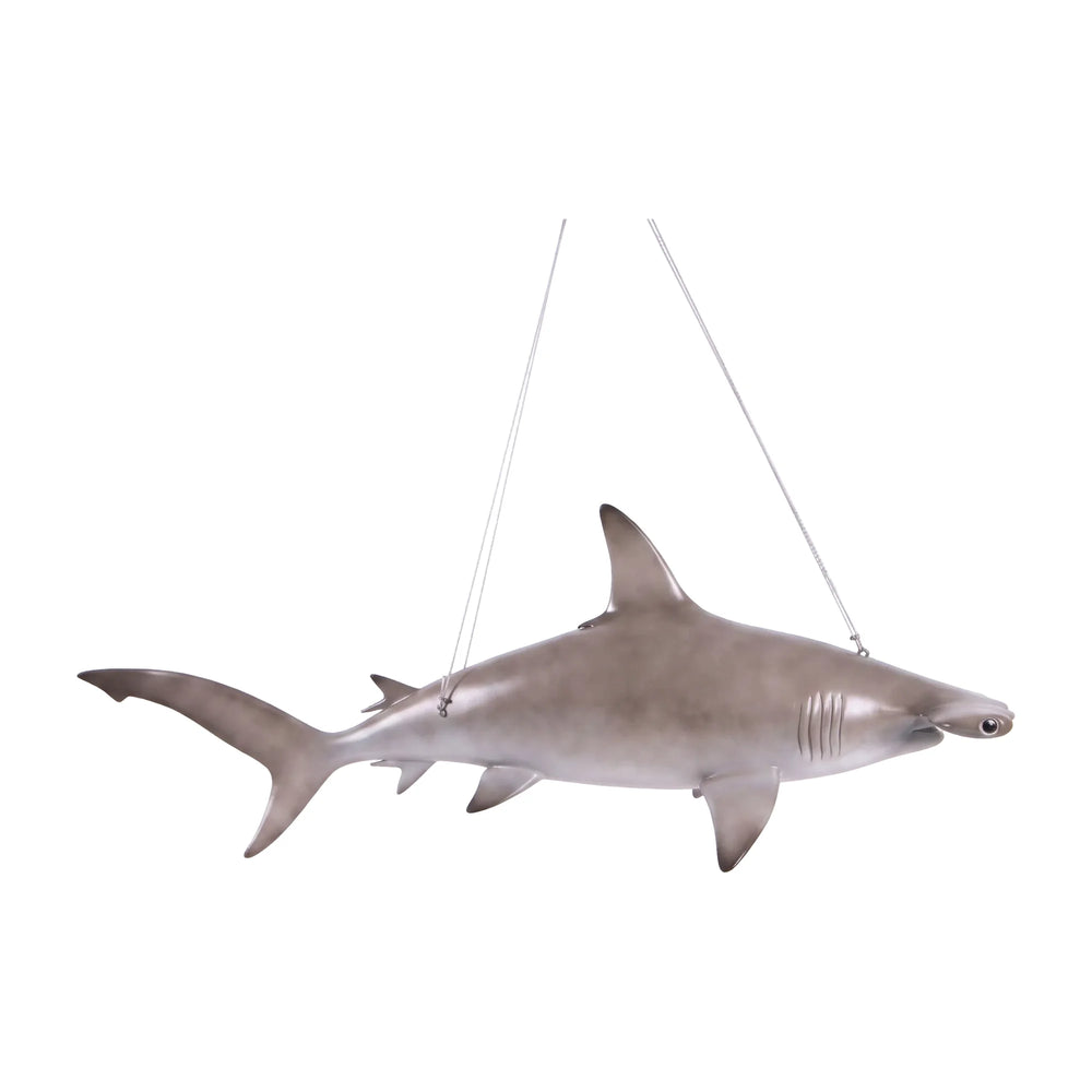 Scalloped Hammerhead Shark 6ft (Not in UK)