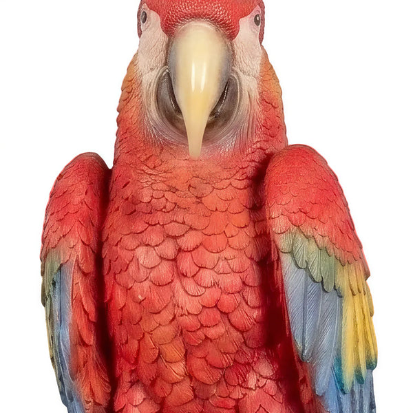 Scarlet Macaw 100cm (Not in AUS/NZ)