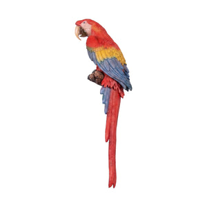 Scarlet Macaw 100cm (Not in AUS/NZ)