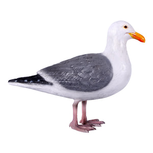 Seagull