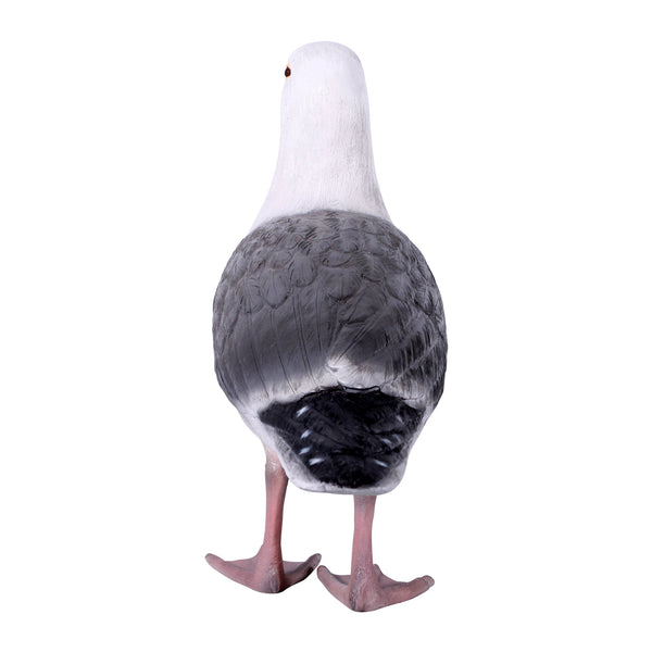 Seagull