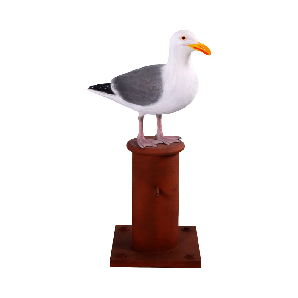 Seagull on Mooring Bollard
