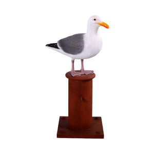 Seagull on Mooring Bollard
