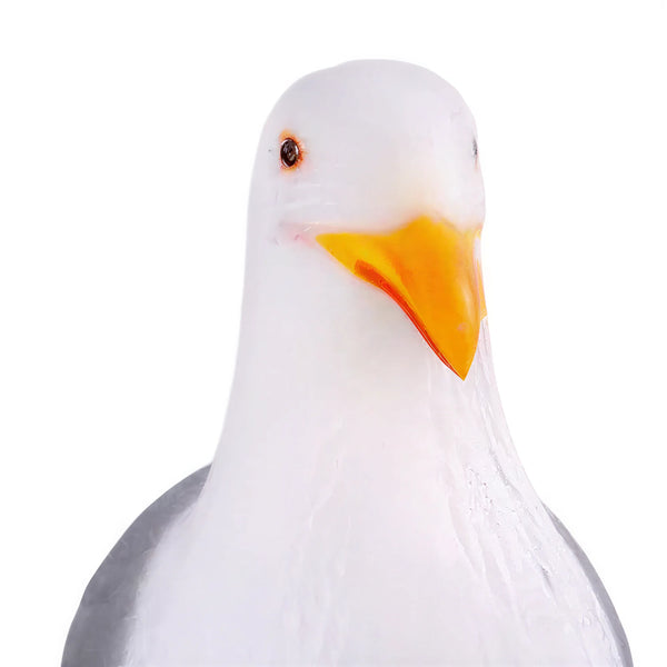 Seagull on Mooring Bollard