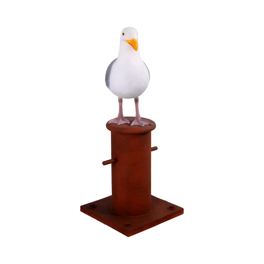 Seagull on Mooring Bollard