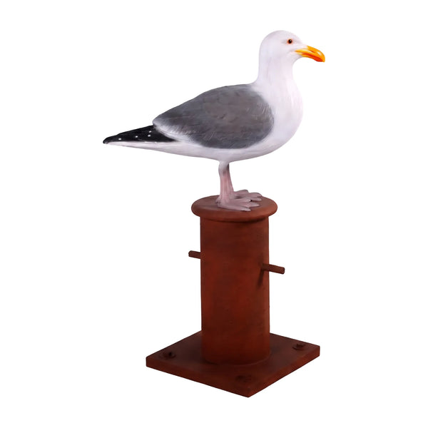 Seagull on Mooring Bollard