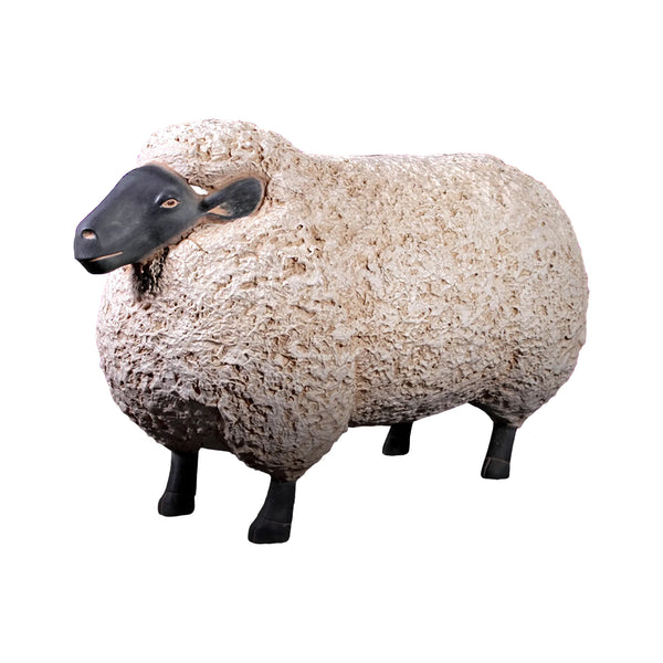 Sheep Jumbo