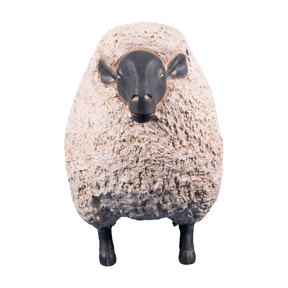 Sheep Jumbo