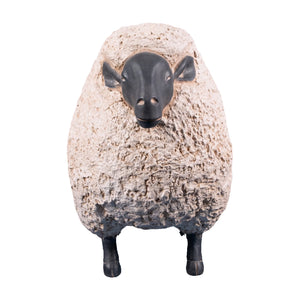 Sheep Jumbo