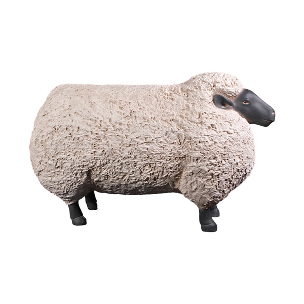 Sheep Jumbo