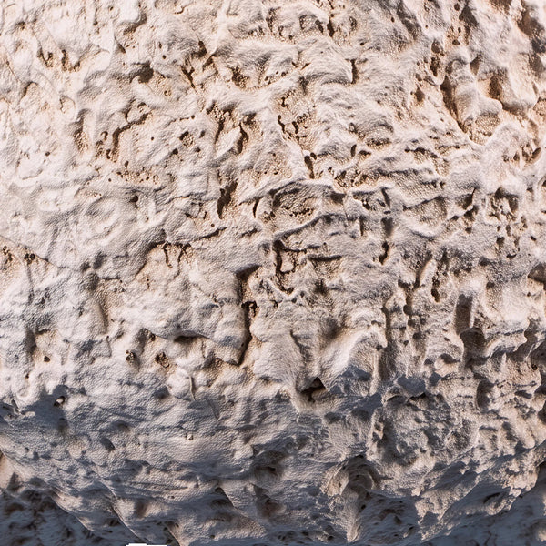 Sheep Jumbo