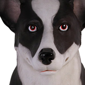 Sheep-dog (Not in Aus)