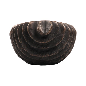 Shell Planter (Not In Uae)