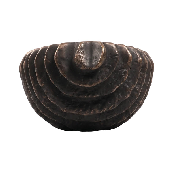 Shell Planter (Not In Uae)