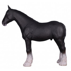 Heinimex Shire Horse statue, realistic matte black finish with textured white feathered hooves, rustic equestrian ranch display style right side view