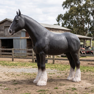 Heinimex Shire Horse statue, realistic matte black finish with textured white feathered hooves, rustic equestrian ranch display lifestyle photo