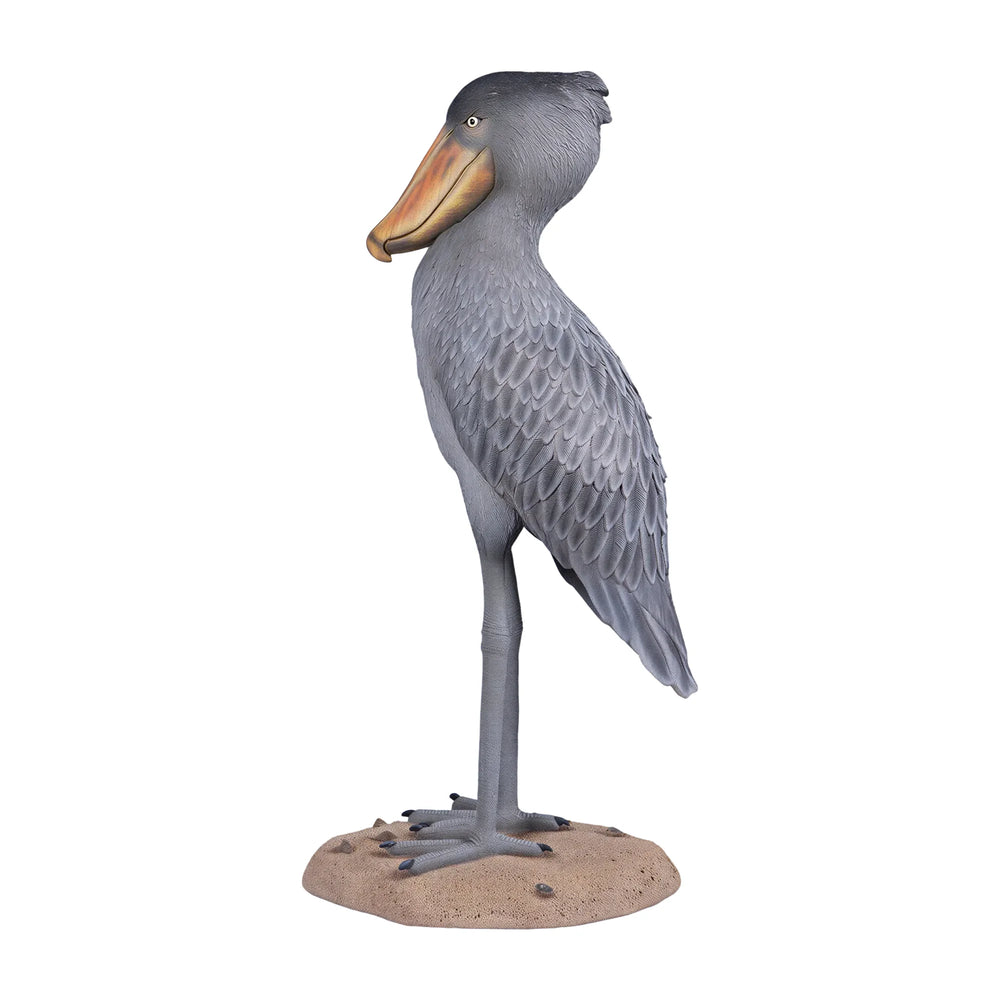 Shoebill Stork (Not in AUS)