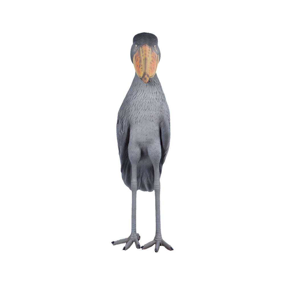 Shoebill Stork (Not in AUS)