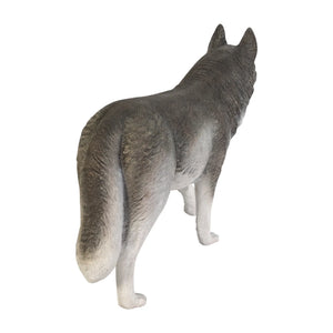 Siberian Husky (not in USA/Canada)