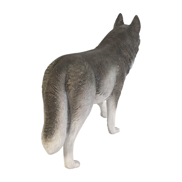 Siberian Husky (not in USA/Canada)
