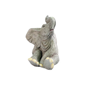 Sitting Baby Elephant (Not in Aus)