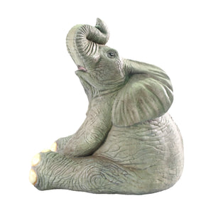 Sitting Baby Elephant (Not in Aus)