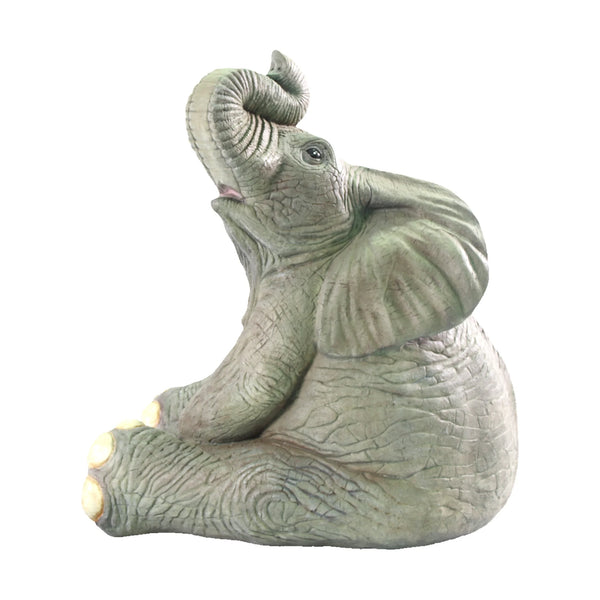 Sitting Baby Elephant (Not in Aus)