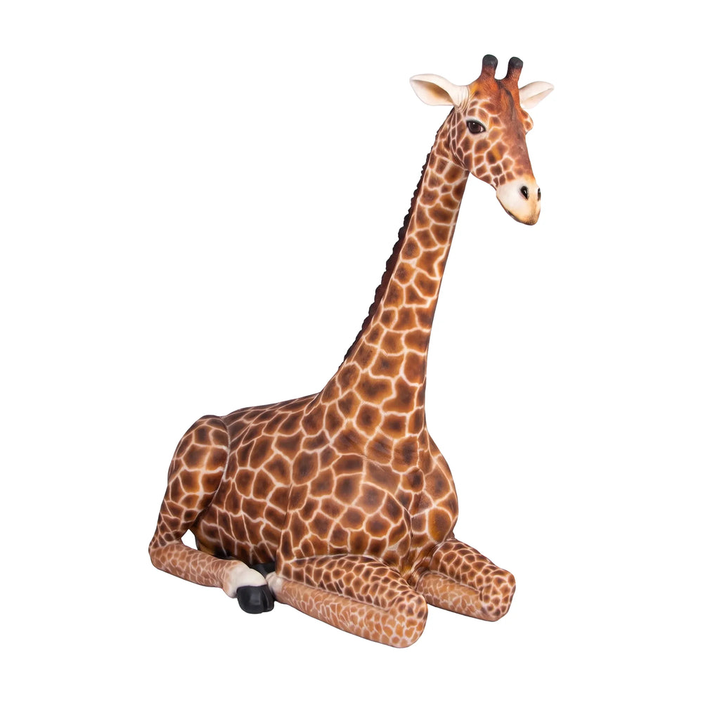 Sitting Giraffe