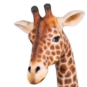 Sitting Giraffe