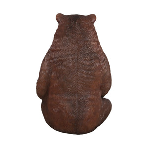 Sitting Grizzly - Jumbo
