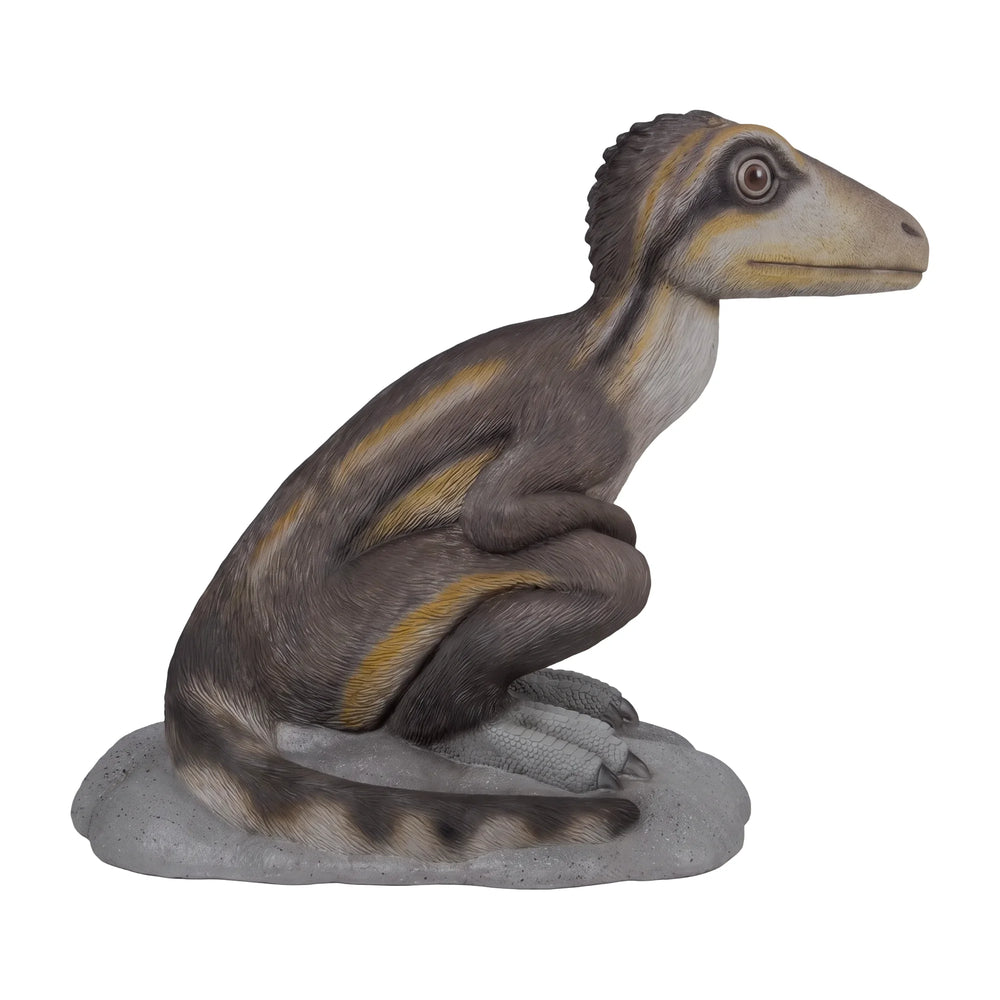 Sitting Juvenile Theropod (Not In Aus)