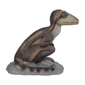 Sitting Juvenile Theropod (Not In Aus)