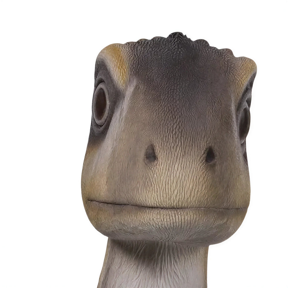 Sitting Juvenile Theropod (Not In Aus)