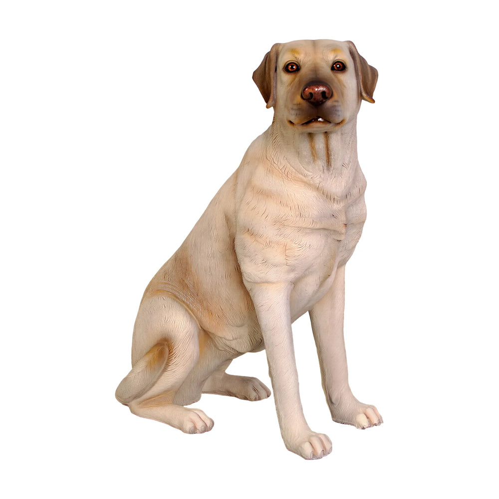 Sitting Labrador