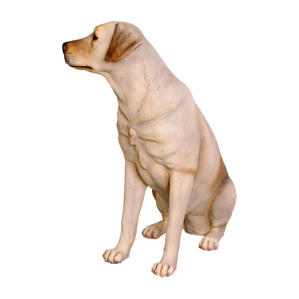 Sitting Labrador