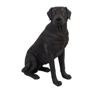 Sitting Labrador
